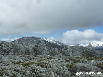 Siete Picos - Parque Nacional Cumbres del Guadarrama;rutas a pie por madrid rutas senderismo cercedi